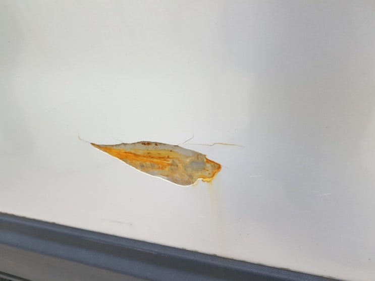  부산북구판금도색 교환부터 복원까지 한번에 작업