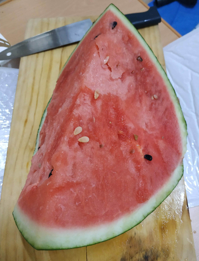  수박 껍질 무침 대충 열심히 만들기