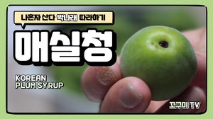 [ENG] 나혼자산다 “박나래 매실청” 도전기  | Korean Plum Syrup 