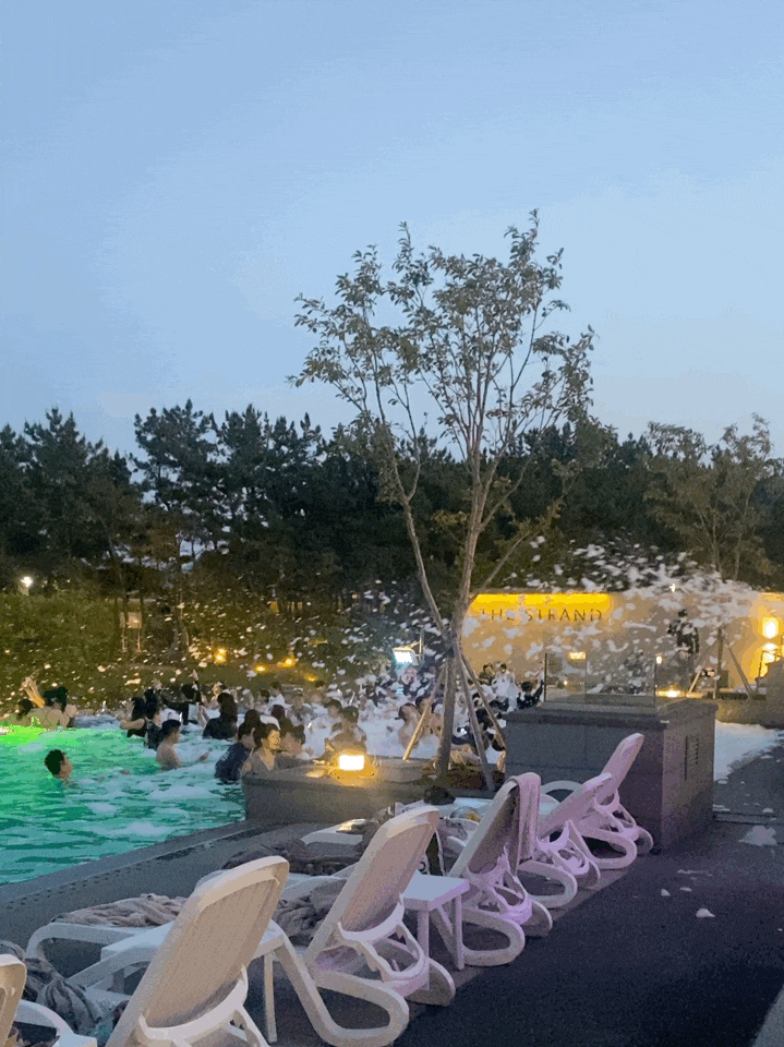  인천 네스트 호텔 수영장 스트란트(STRAND)
