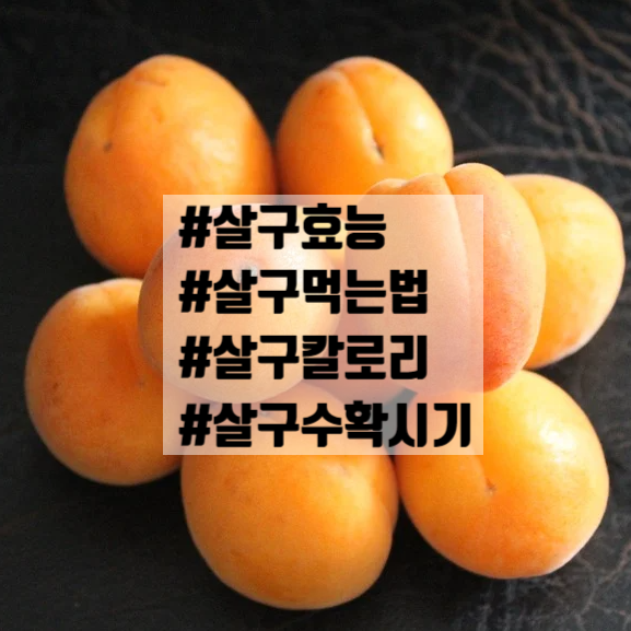  살구 효능 먹는법 수확시기 칼로리 비누 부작용 나무
