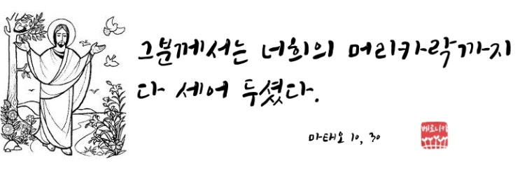 그분께서는 너희의 머리카락까지 다 세어 두셨다. 그분께서는 너희의 머리카락까지 다 세어 두셨다.