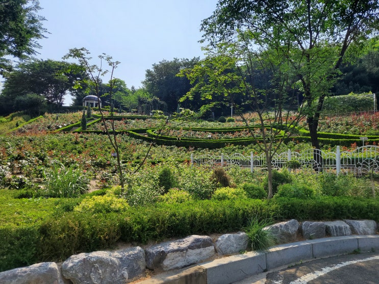  부천 근교 근처 가볼 만한 곳~! 일상 가족 외식 데이트 코스~