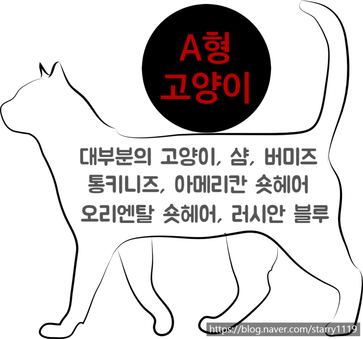  고양이도 혈액형이 있나요? A형 B형 O형?