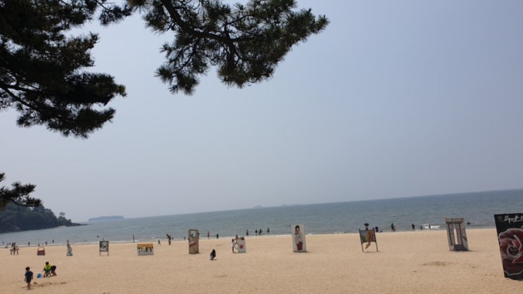  변산 해수욕장에서 첫 물놀이했어요