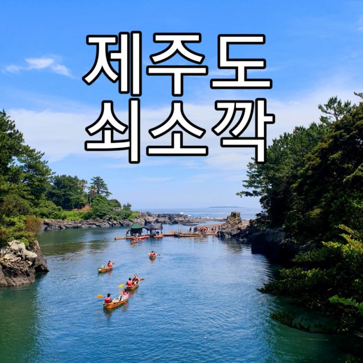   [제주도] 카약 쇠소깍c