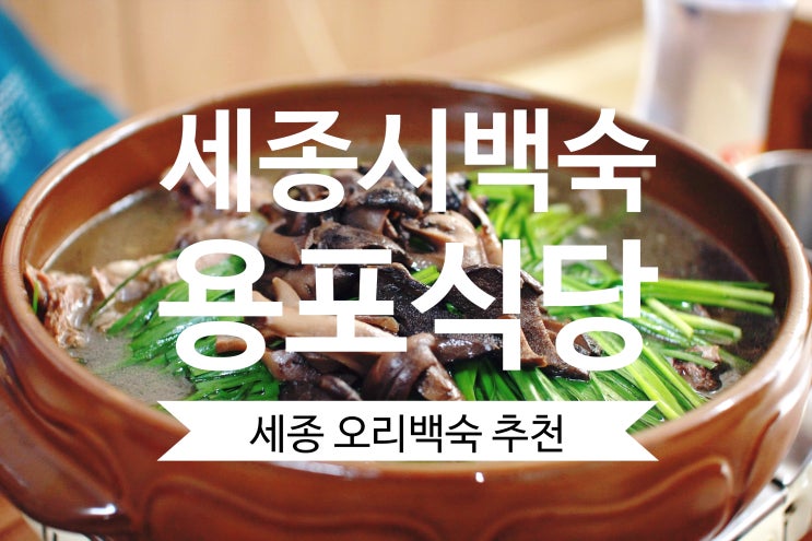  세종시맛집 용포식당에서 복날 몸보신 오리백숙 국물이 찐이야!