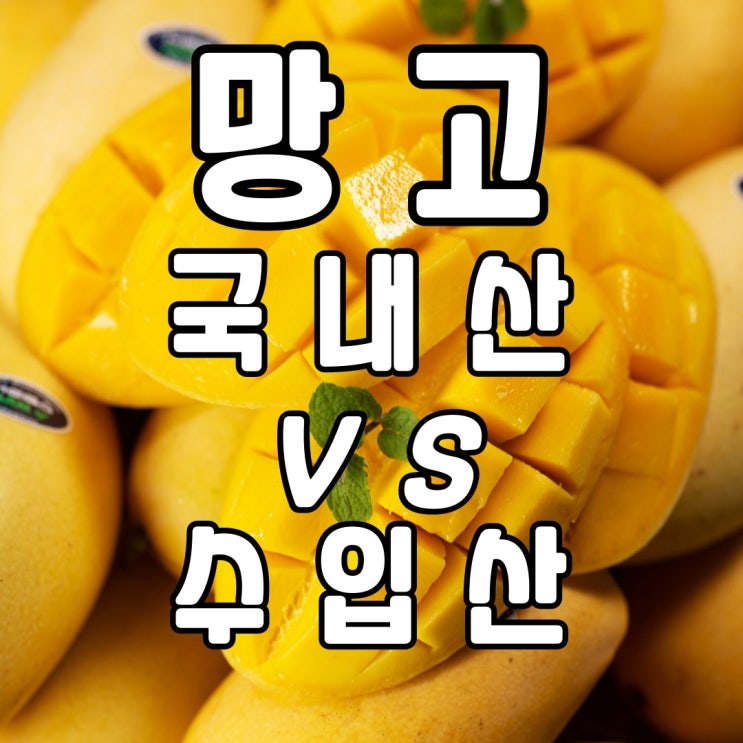  맛도 좋고 몸에도 좋은 망고~! 수입산과 국내산 중 어디가 좋을까요?