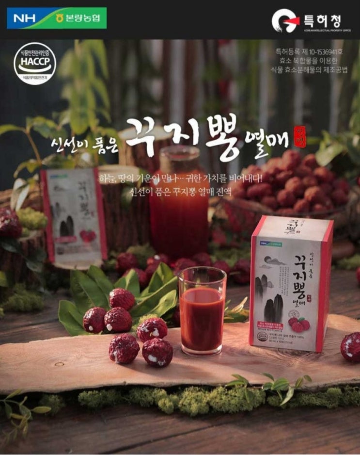  [제품후기]다가가-신선이 품은 꾸지뽕 열매 진액