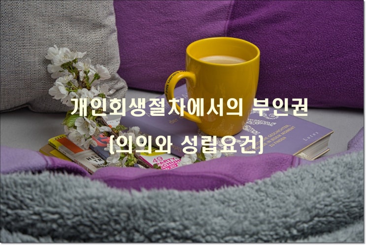 개인회생절차에서의 부인권 (1) - 의의와 성립요건