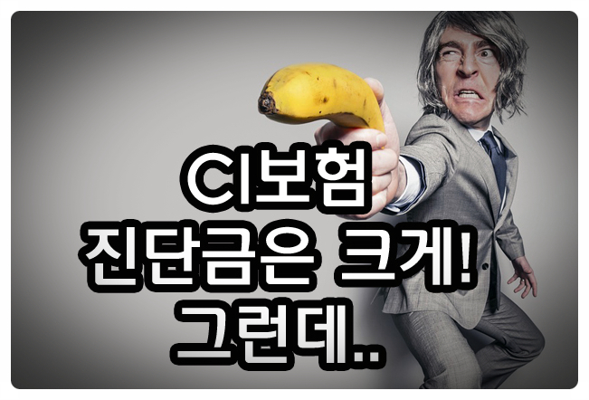  CI보험 리모델링, 광주전남보험아놀자에서 보험료는 절감하고 보장은 UP하세요!