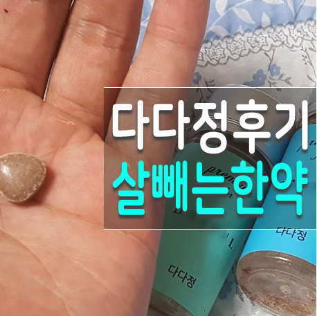  연신내다이어트한의원 도전 28일간 다다정 마지막 후기
