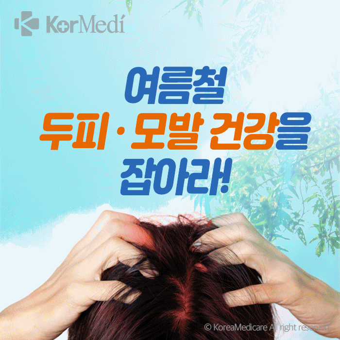  여름철 두피 · 모발 건강을 잡아라!