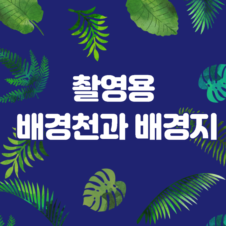  촬영용 배경천, 배경지 구입할 수 있는 곳