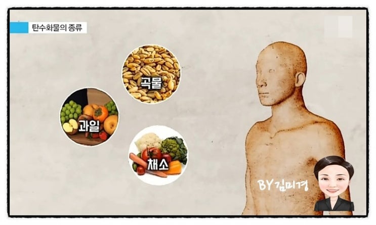  복부비만 잘 먹어야 빠진다.