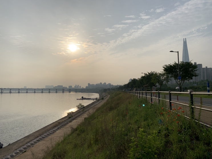  잠실한강공원 산책 / 잠실 롯데타워를 바라보며 한강 즐기기