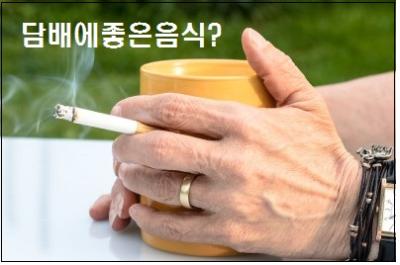  담배에좋은음식 참고하세요