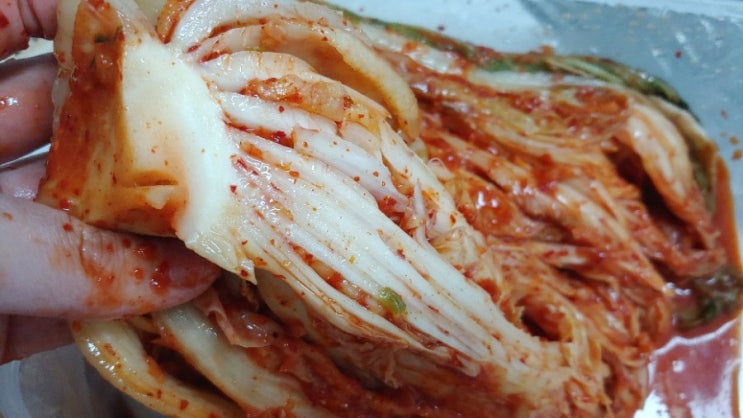 국산김치쇼핑몰 더만나 포기김치 요리하고 싶은 맛 국산김치쇼핑몰 더만나 포기김치 요리하고 싶은 맛