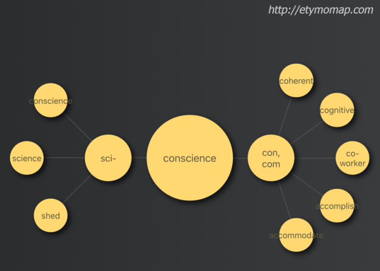 영어 어원맵 5. Conscience 의 어원과 연관된 단어들