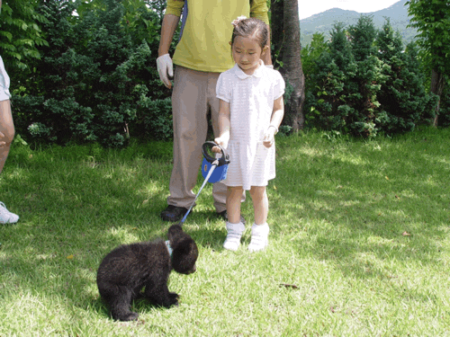 슬쌍디아빠 과거로의 산책(2009.06.21.~2013.06.21.) 육아일기 FILE 207 / 베어트리파크