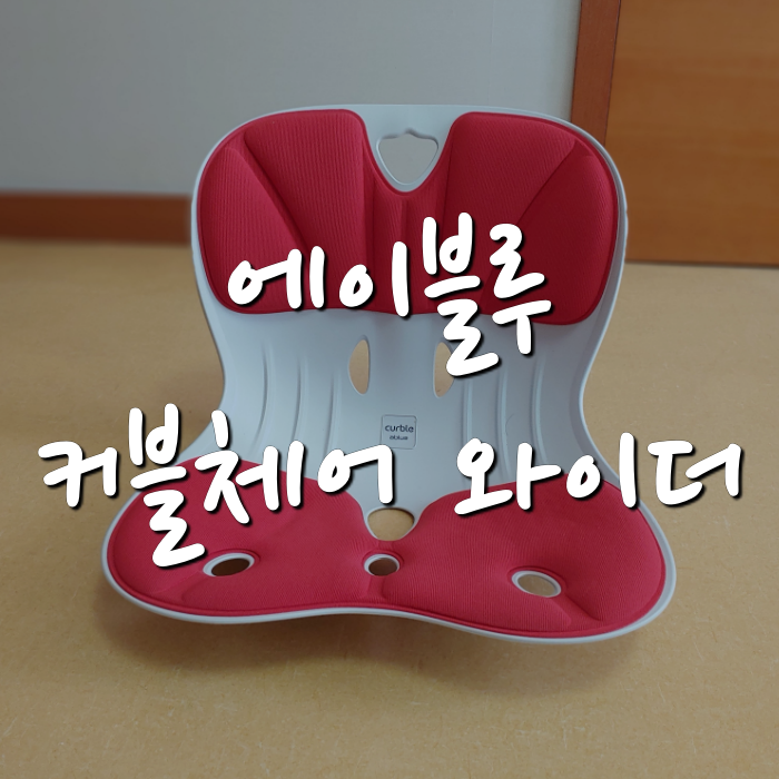  커블체어와이더 6개월 사용 솔직후기(+에이블루)