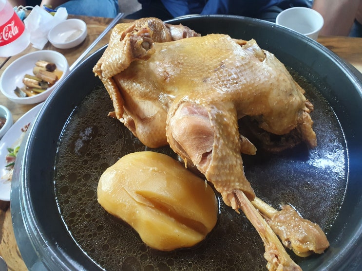 제주송당맛집 아진가든 현지인이 가는 토종닭백숙맛집