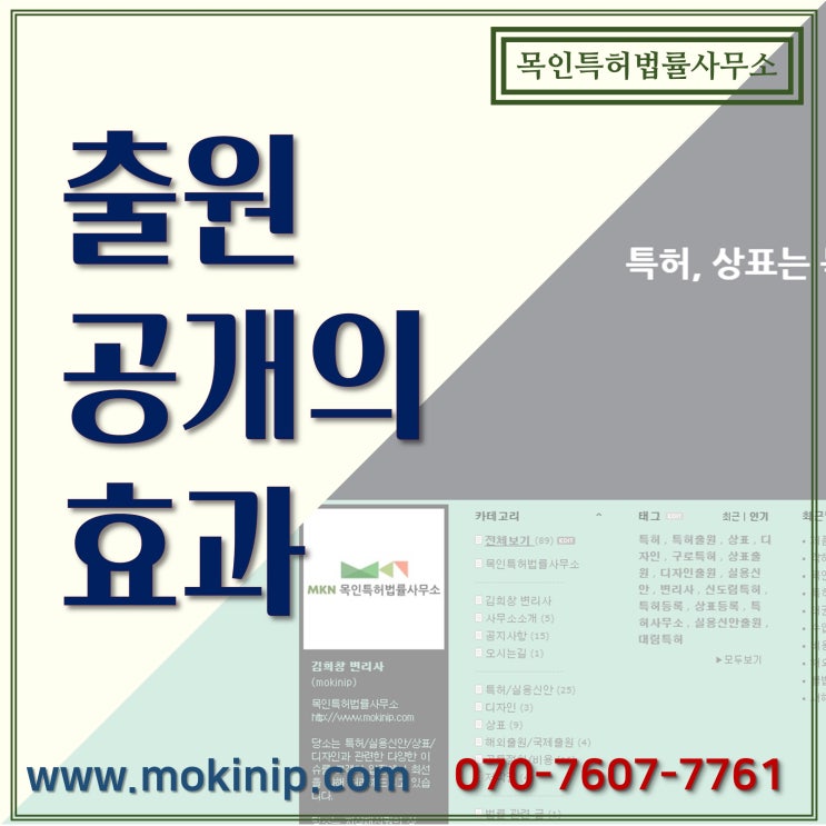  출원 공개의 효과