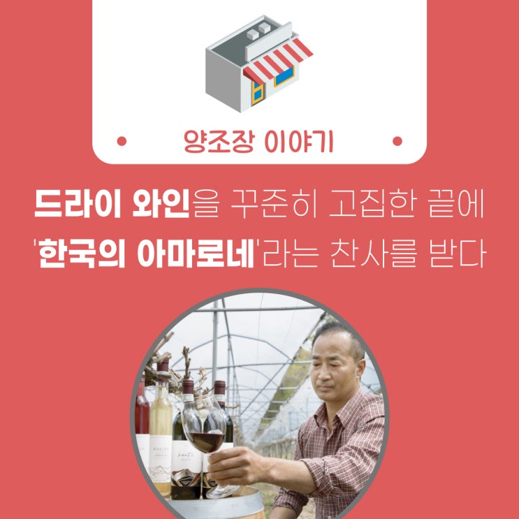 [술담화] 드라이 와인을 꾸준히 고집한 끝에 '한국의 아마로네'라는 찬사를 받다 &lt;수도산와이너리 백승현 대표&gt;