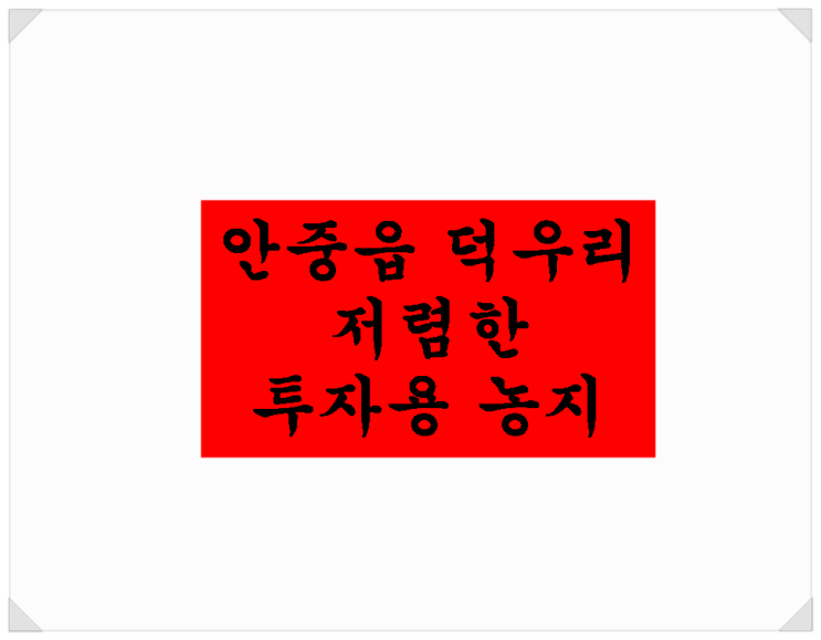  평택 안중읍 덕우리 저렴한 투자용 토지