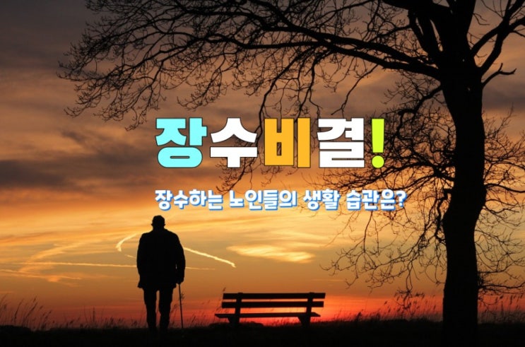 장수비결! 장수하는 노인들의 생활 습관은? 장수비결! 장수하는 노인들의 생활 습관은?