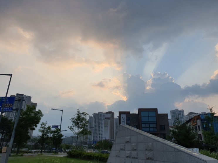  오늘 아침 출근 길에 있었던 일