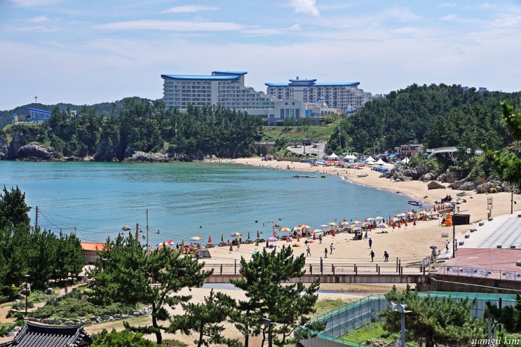 동해시 삼척시와 시민주도 자율통합으로 상생발전과 강원남부권 중심도시 도약의 기틀마련 공동대응