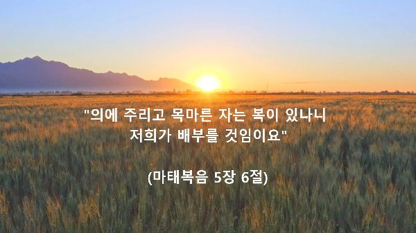  매일 성경 묵상 _ 마태복음 5장 6절 (의에 주리고 목마른 자는 복이 있나니)