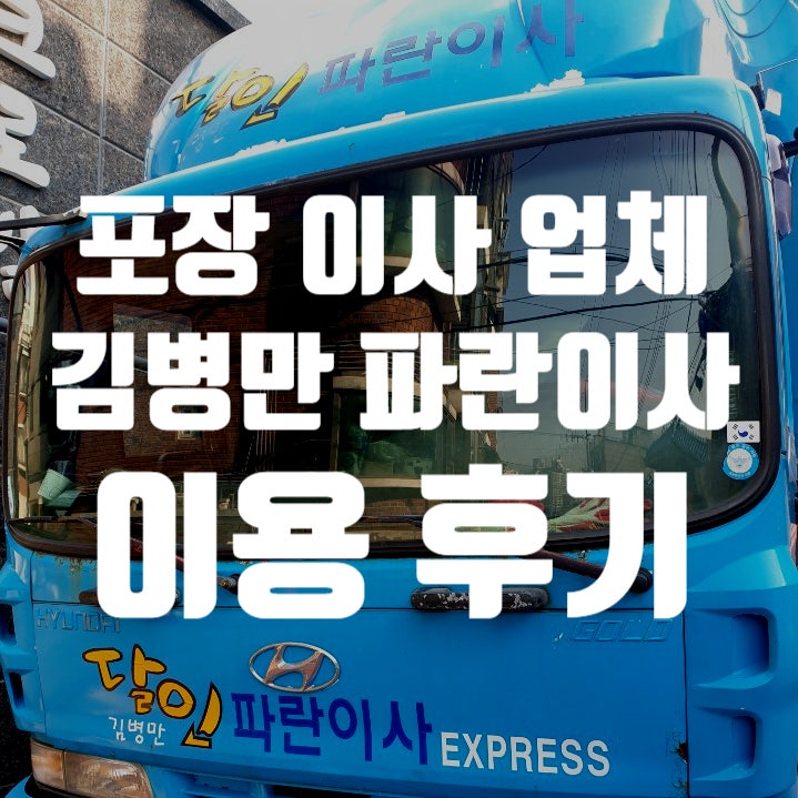 포장 이사 업체: 김병만 파란이사 이용 후기