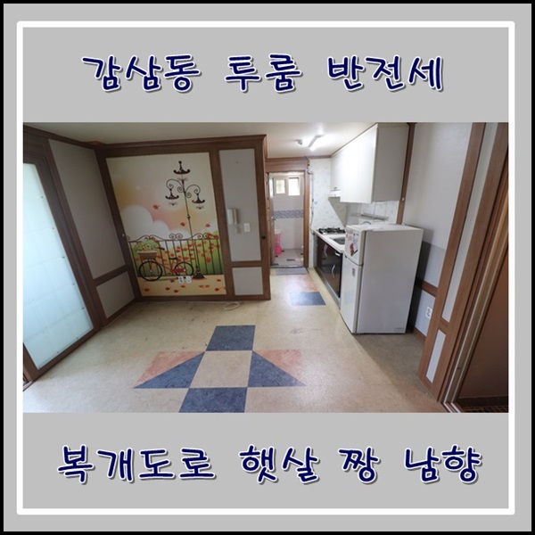  감삼동 복개도로 투룸 반전세 햇살 짱 남향