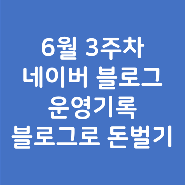  6월 3주차 블로그 운영 내역 - 블로그로 돈벌기 수익 현황, 방문자 현황