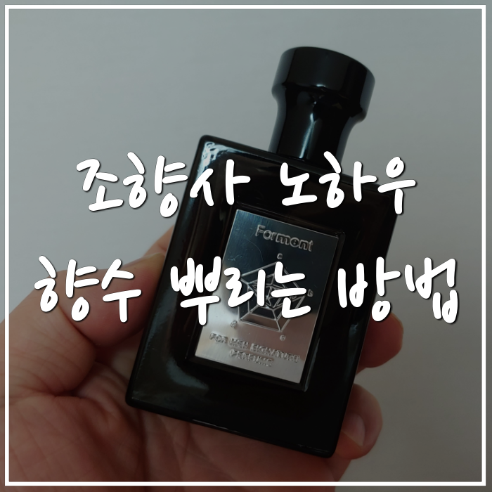 포맨트 코튼허그, 향수 뿌리는 법(+몽블랑)