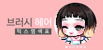  [KMS 캐시] 메이플스토리 브러시 헤어 믹스염색표(믹염)