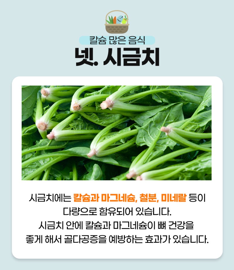 골다공증에 좋은 음식과 예방 운동 _ 칼슘제와 철분제 4