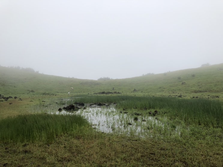 [2박3일제주도여행] 쉽게 오를수있는 예쁜  금오름