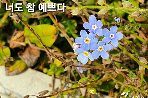 오늘참예쁘다(2) 이미지