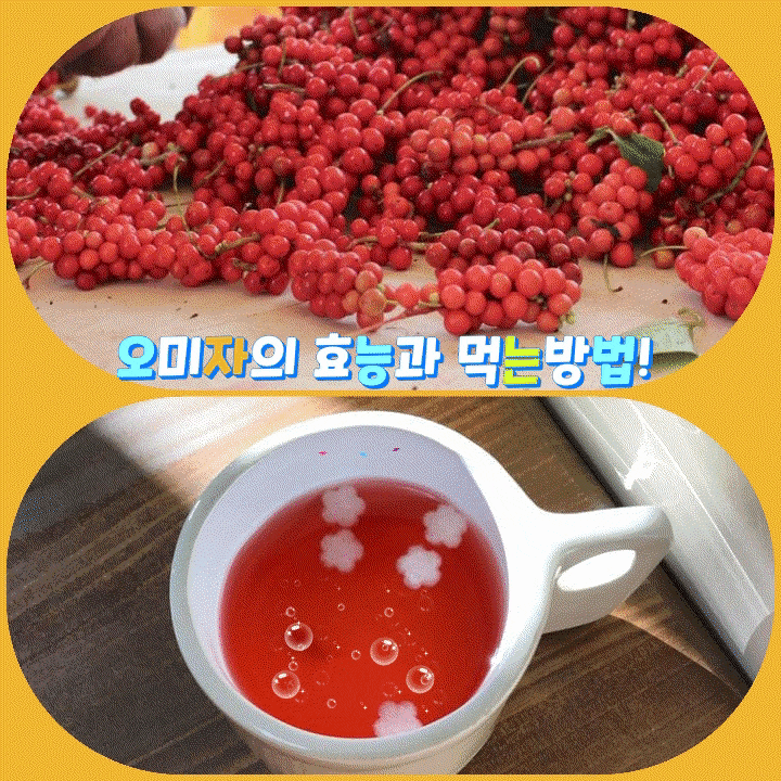 눈과 기침,기관지,천식에 좋은 오미자의 효능과 먹는 방법은? 눈과 기침,기관지,천식에 좋은 오미자의 효능과 먹는 방법은?