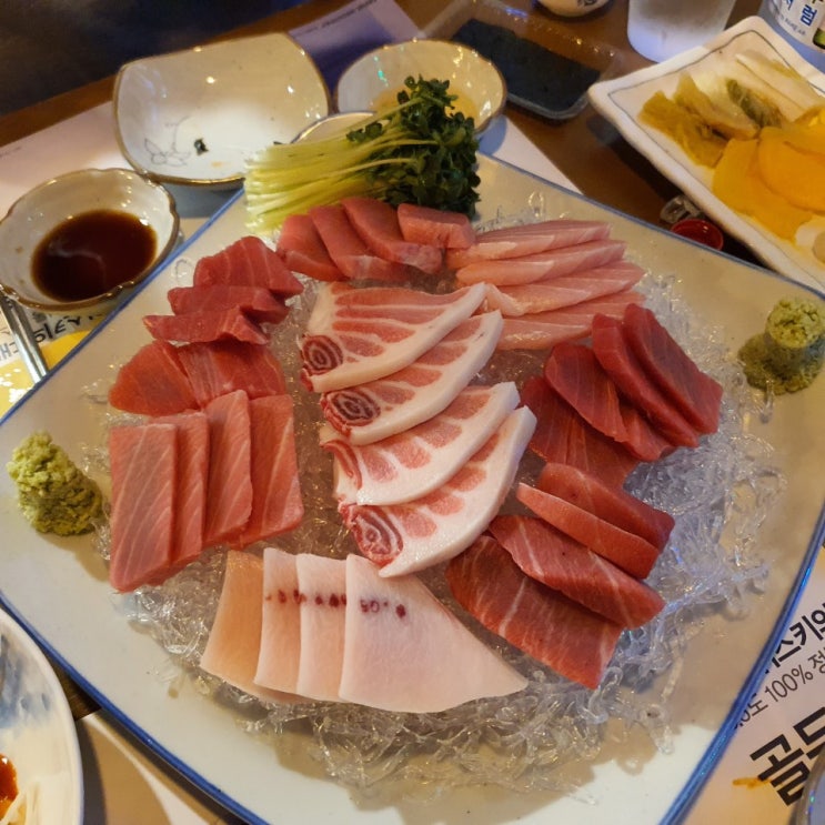  [한끼리뷰] 일산 백석역 근처 참치포차 - 참치회 한끼