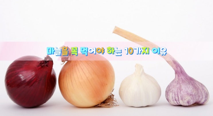 마늘을 꼭 먹어야 하는 10가지 이유