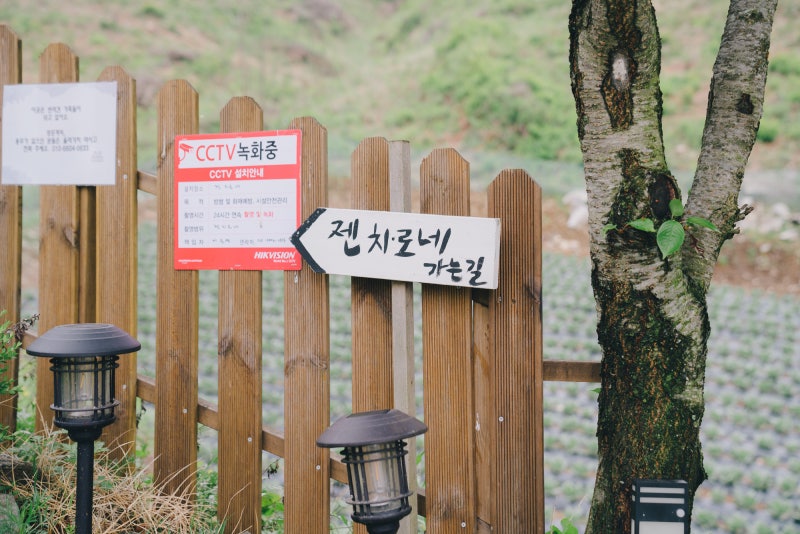 사진 11