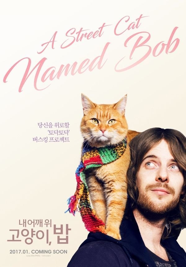 무지개다리 건넌 영화 주인공 고양이 내 어깨 위 고양이, 밥 무지개다리 건넌 영화 주인공 고양이 내 어깨 위 고양이, 밥