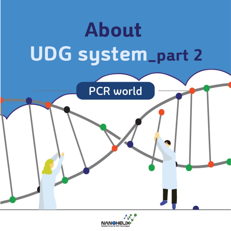  About UDG(Uracil DNA Glycosylase) system _ part 2