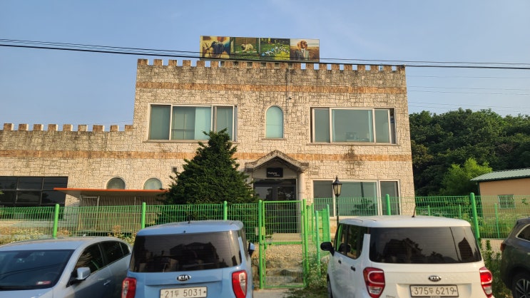서울경기 하수구막힘 해결, 경기도 하남시 애견훈련장 하수구 뚫는 업체 서울경기 하수구막힘 해결, 경기도 하남시 애견훈련장 하수구 뚫는 업체