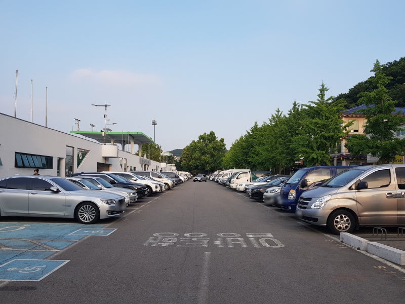 사진 5