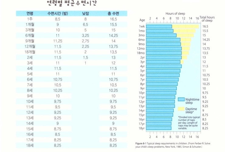 연령별 평균키, 연령별 평균 제충 연령별 성장도표, 수면시간[우리 아이는 잘 크고있을까] : 네이버 블로그